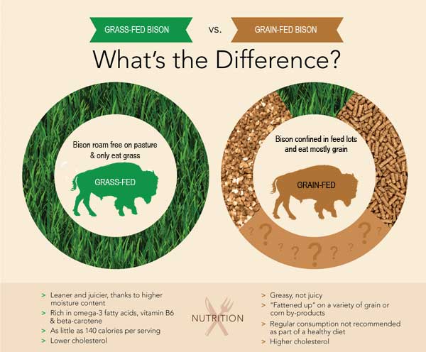 Grass-Fed vs Grain-Fed