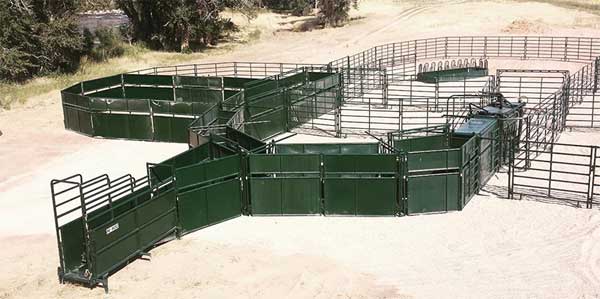 Hi-Hog bison handling system